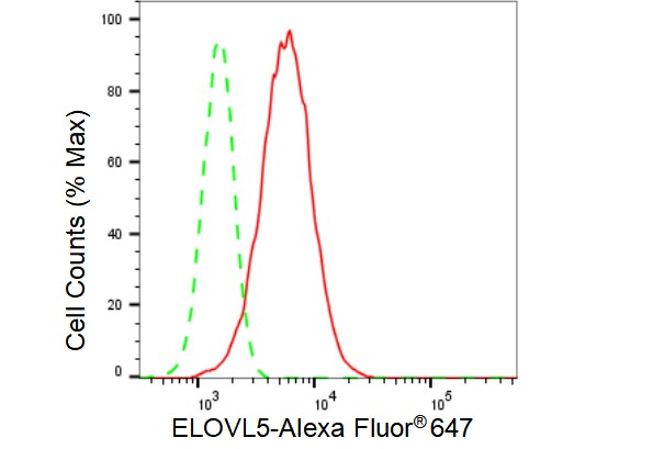 ELOVL5 Antibody (23GB3580)