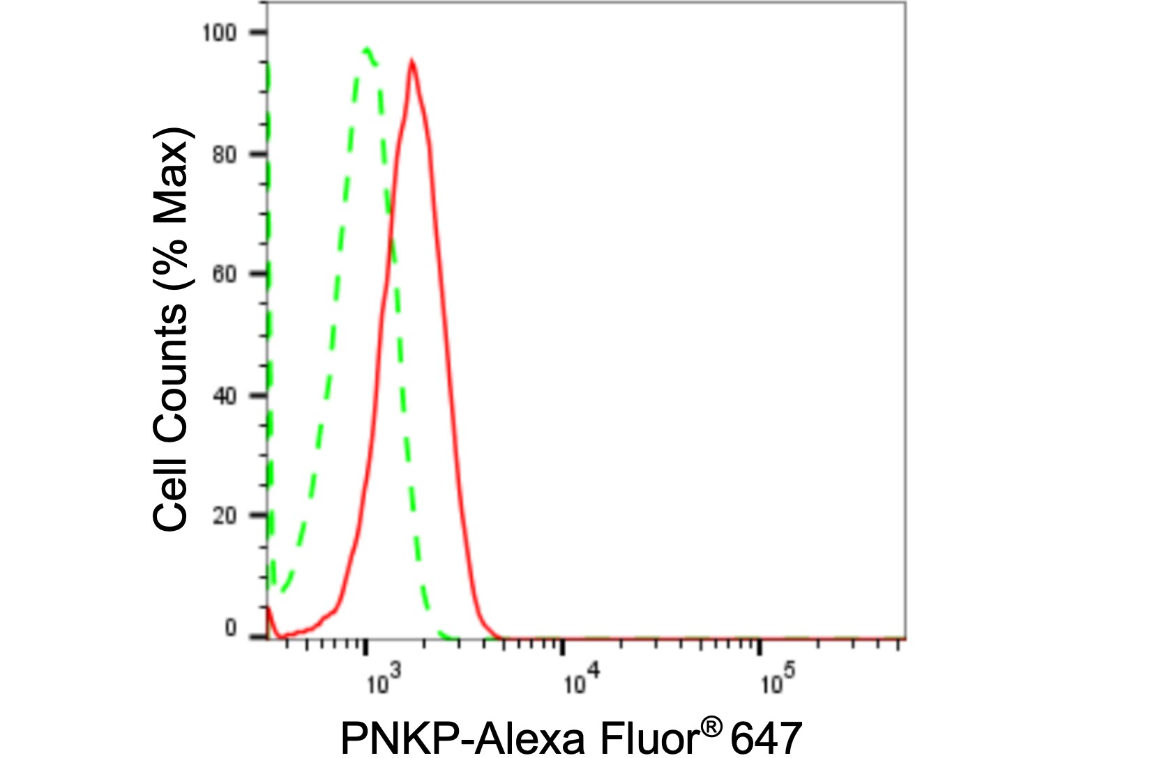 PNK Antibody (24GB965)