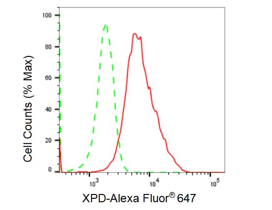 XPD Antibody (23GB1675)