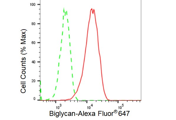 Biglycan Antibody (23GB3700)