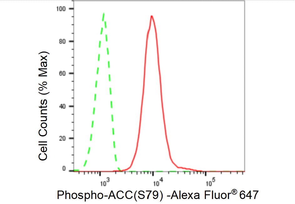 Acetyl-CoA Carboxylase alpha/ACACA [p Ser79] Antibody (23GB3865)