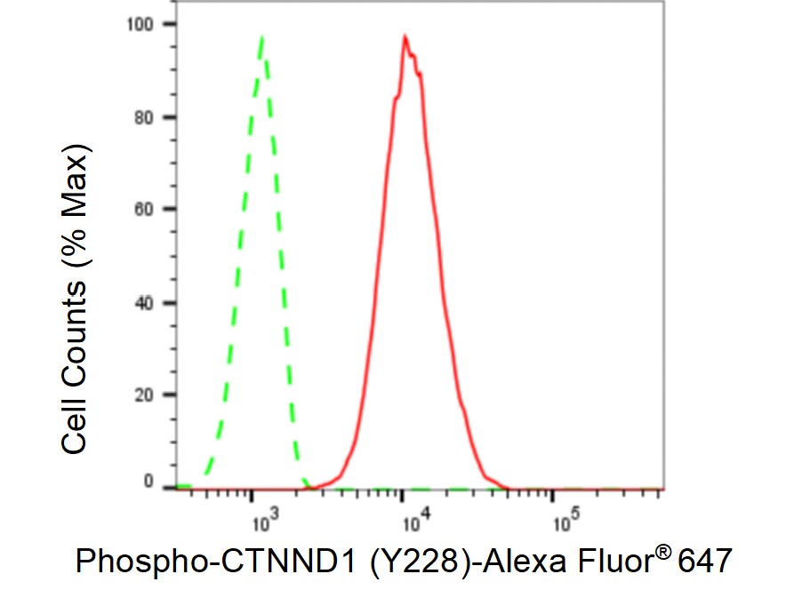 p120-catenin [p Tyr228] Antibody (23GB3880)