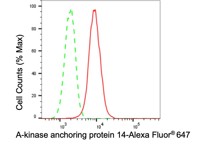 AKAP14 Antibody (23GB3935)