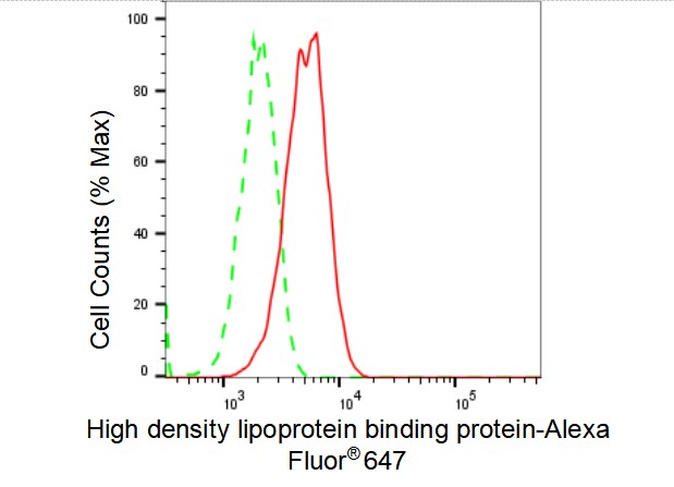 HDLBP Antibody (23GB3970)