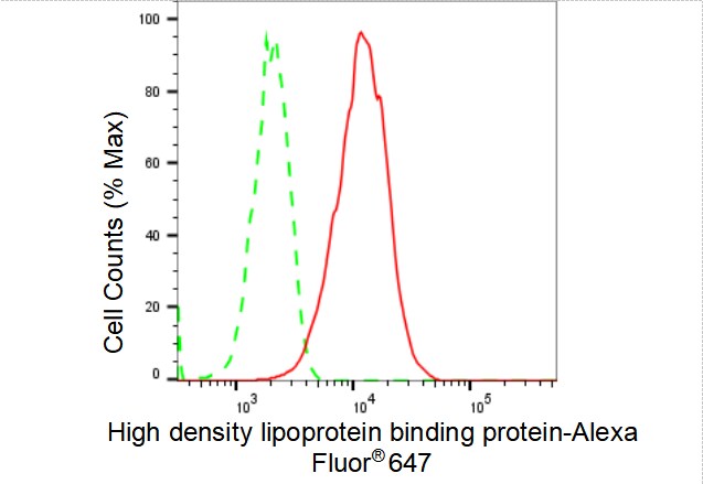 HDLBP Antibody (23GB3975)