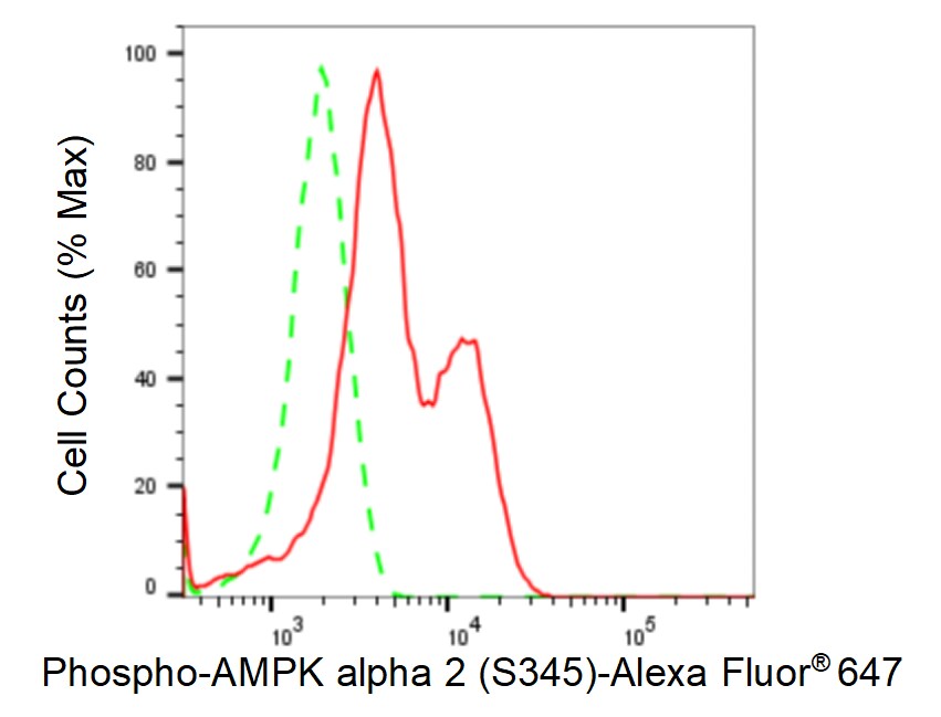 AMPK alpha 2 [p Ser345] Antibody (23GB4095)