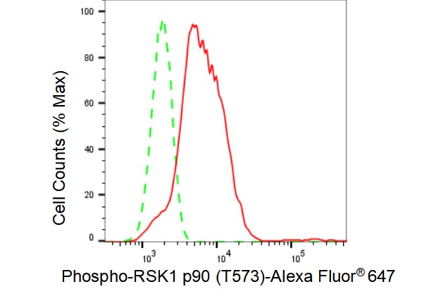 RSK1 [p Thr573] Antibody (23GB4130)