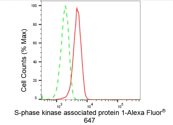 Skp1 Antibody (23GB4140)