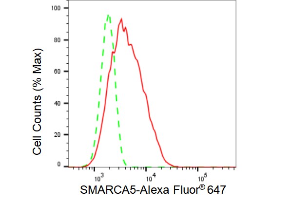 SMARCA5/SNF2H Antibody (23GB4160)