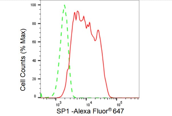 SP1 Antibody (23GB4175)