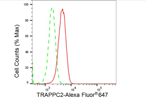 TRAPPC2 Antibody (23GB4230)