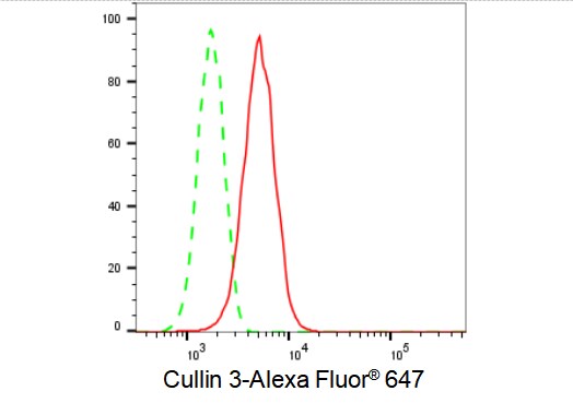 Cullin 3 Antibody (23GB1560)