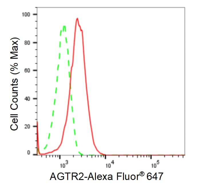 AGTR-2 Antibody (23GB4305)
