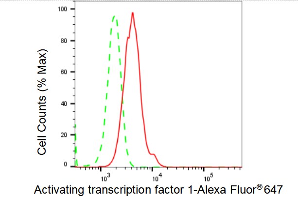ATF1 Antibody (23GB4325)