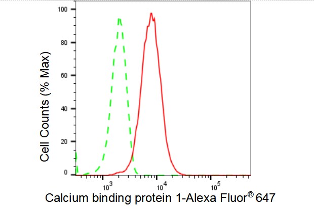 CABP1 Antibody (23GB4365)