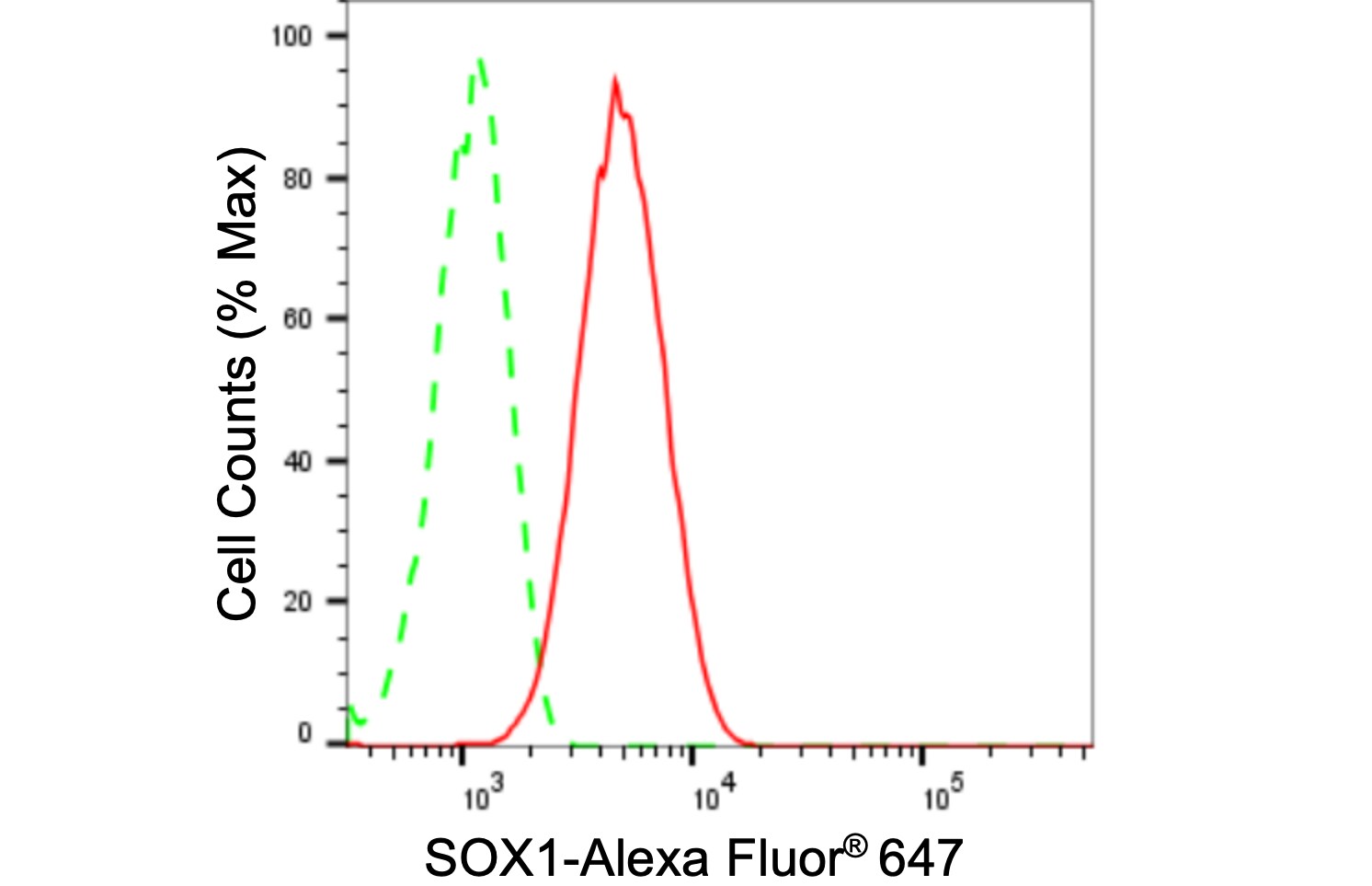 SOX1 Antibody (24GB2080)
