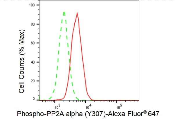 PP2A alpha [p Tyr307] Antibody (23GB4580)
