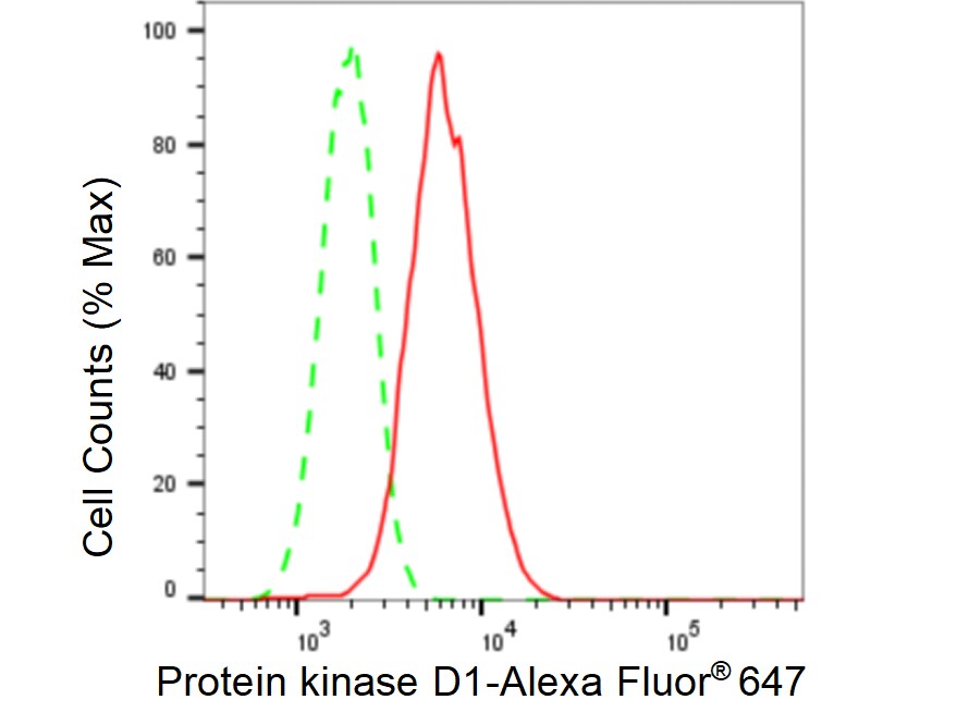 PKC mu Antibody (23GB4590)