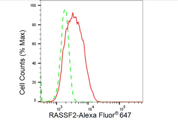 RASSF2 Antibody (23GB4605)