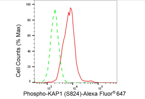 KAP1 [p Ser824] Antibody (23GB4700)