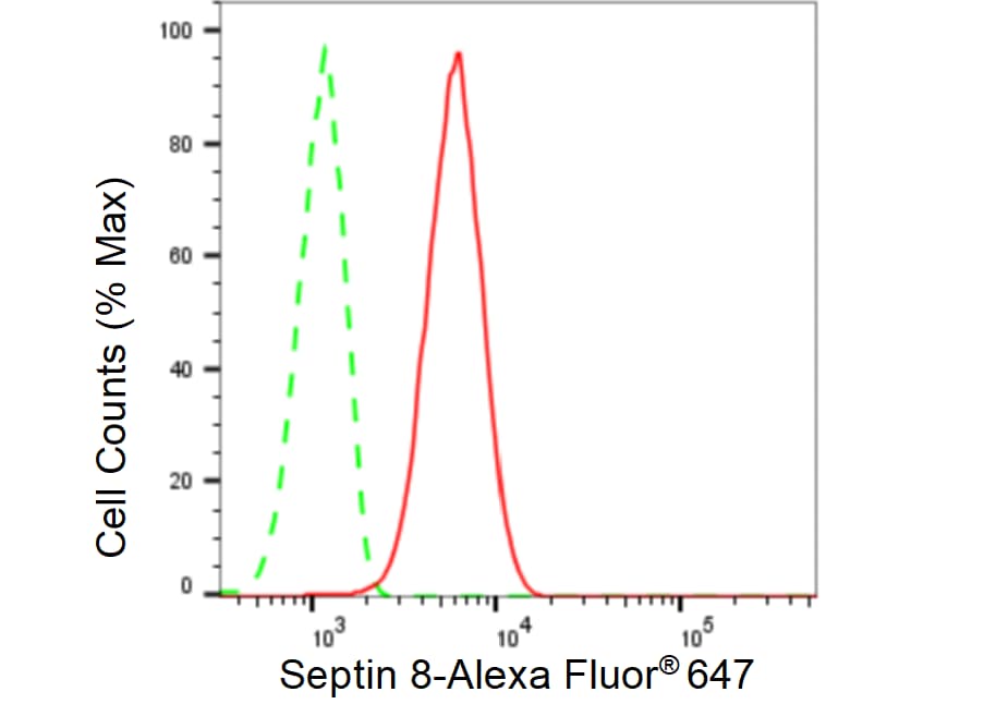 Septin-8 Antibody (23GB4905)