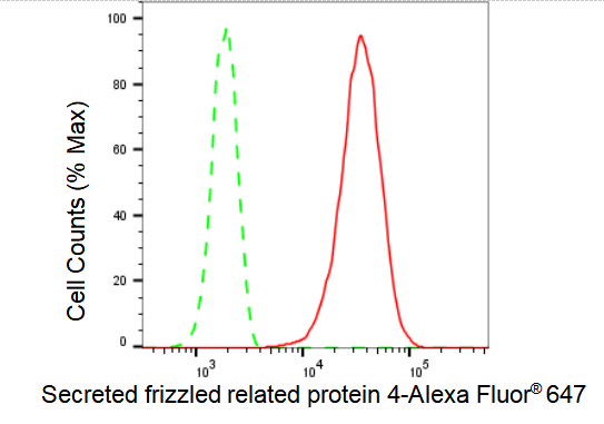 sFRP-4 Antibody (23GB4950)