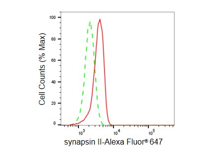 Synapsin II Antibody (23GB4960)