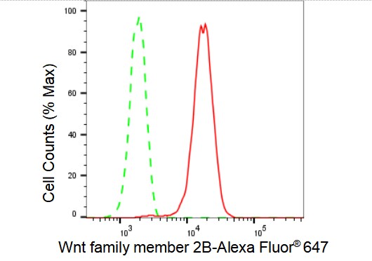 Wnt-2b Antibody (23GB4930)