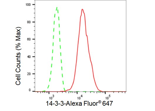 14-3-3 zeta/beta Antibody (23GB4830)