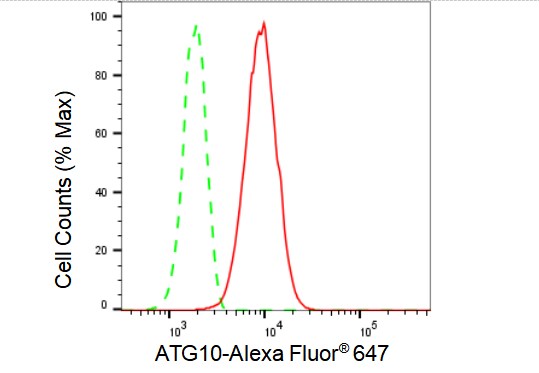 ATG10 Antibody (23GB4860)