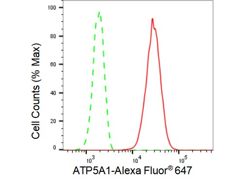 ATP5A Antibody (23GB4850)