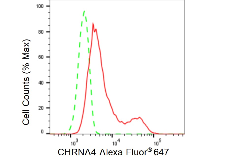 Nicotinic Acetylcholine R alpha 4/CHRNA4 Antibody (23GB5085)