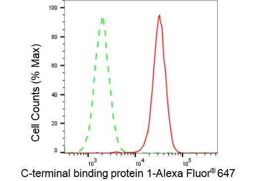 CtBP1 Antibody (23GB5115)
