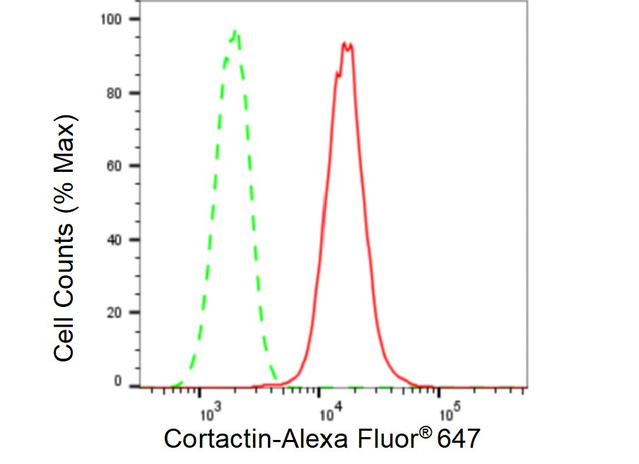 Cortactin Antibody (23GB5130)