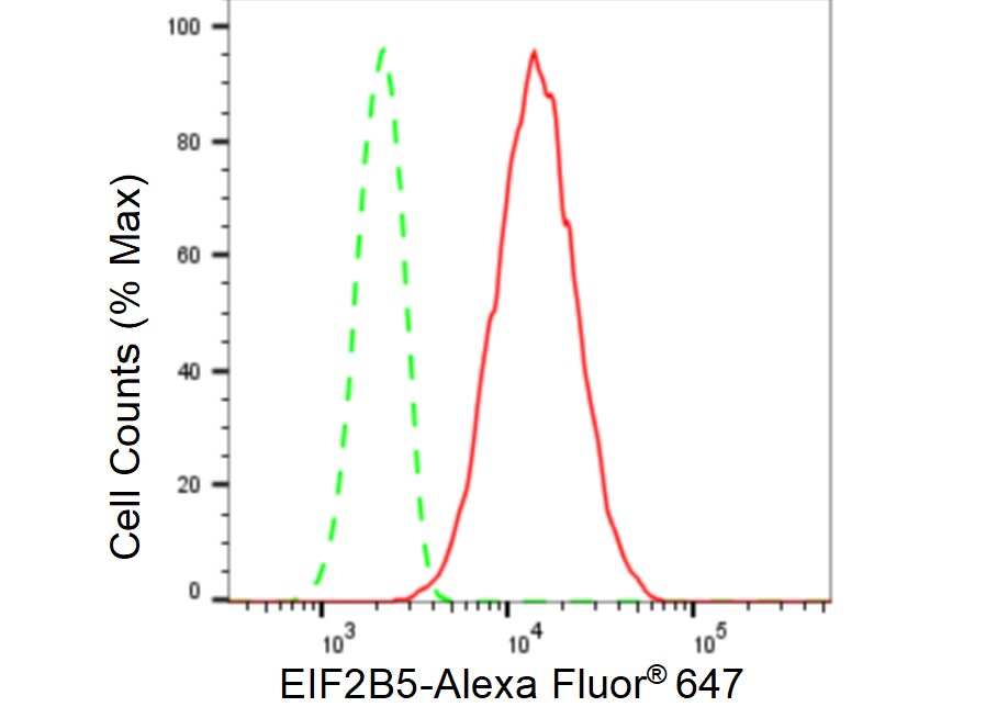 eIF2B epsilon Antibody (23GB5300)