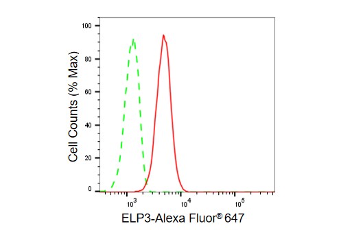 Elp3 Antibody (23GB5305)