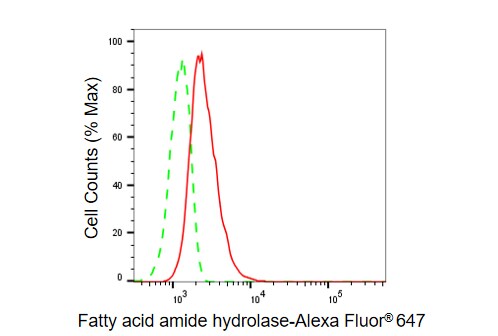 FAAH Antibody (23GB5355)