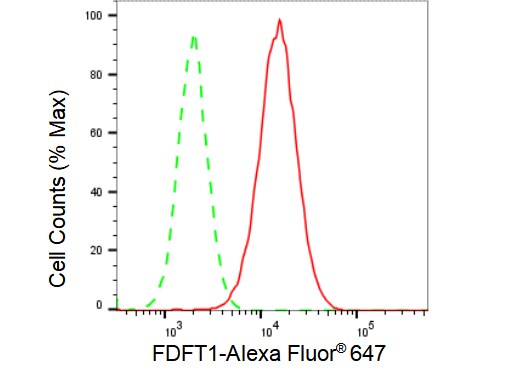FDFT1 Antibody (23GB5390)