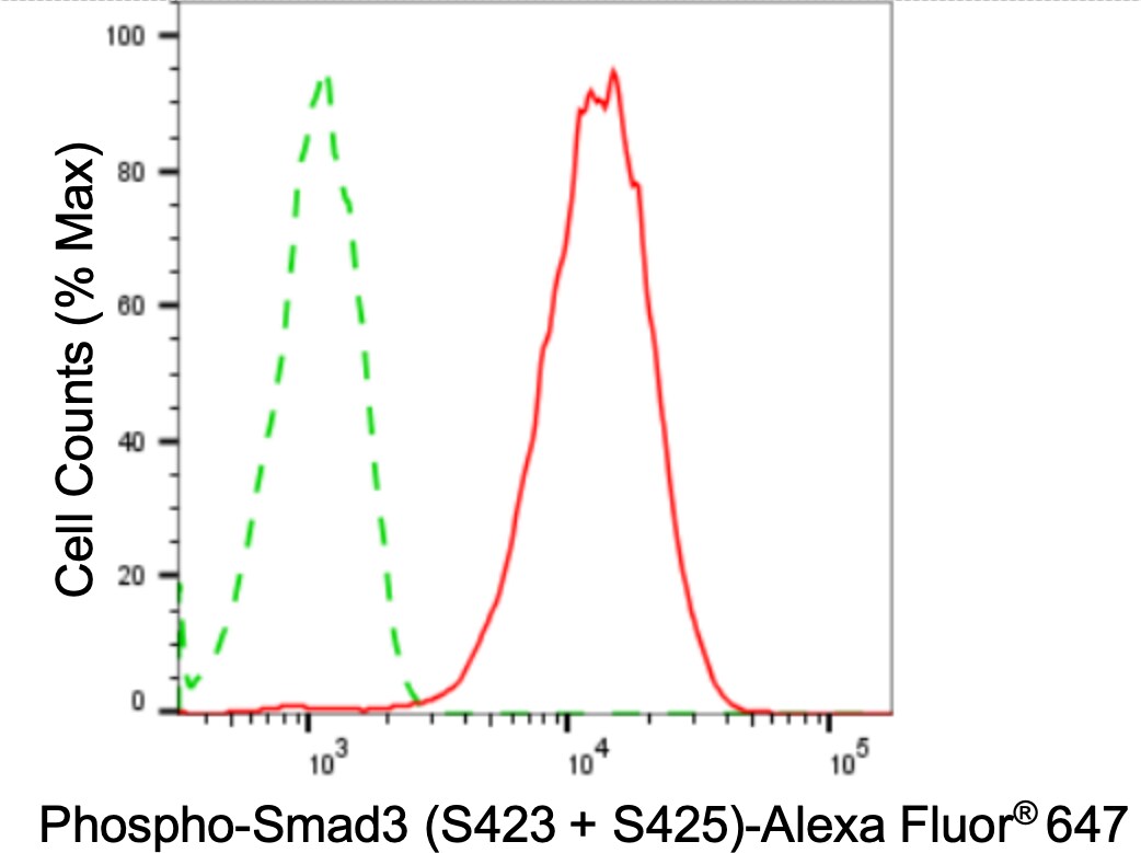 Smad3 [p Ser425] Antibody (24GB3940)