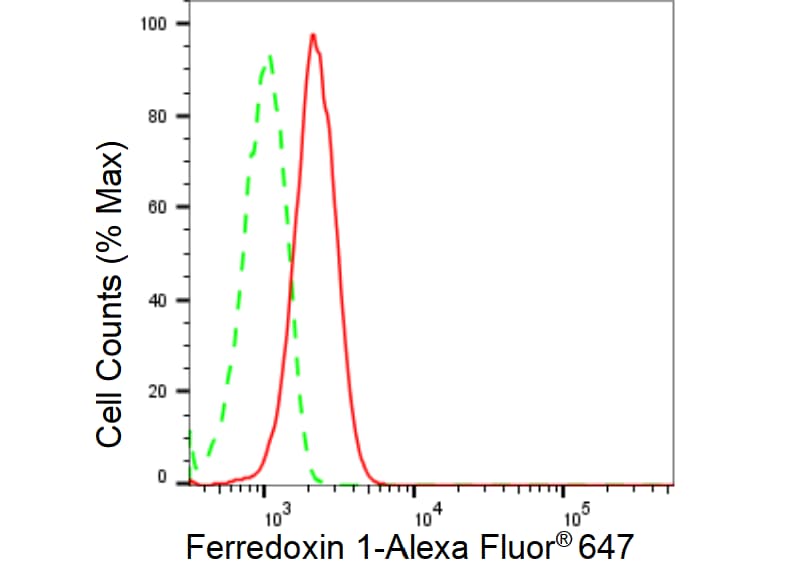 FDX1 Antibody (23GB5395)