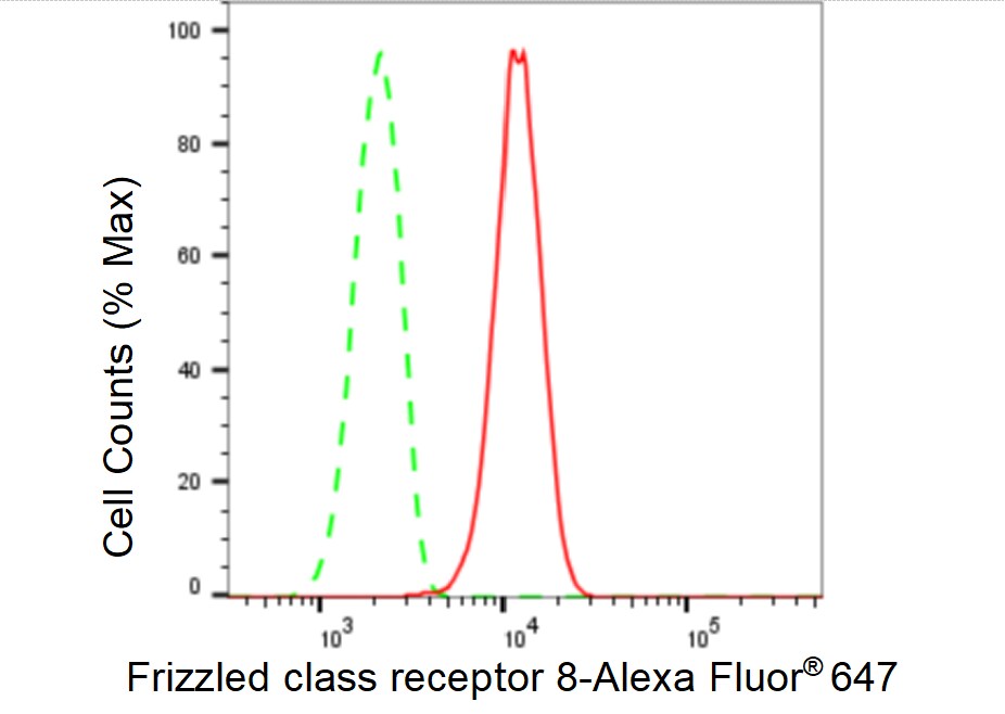 Frizzled-8 Antibody (23GB5470)