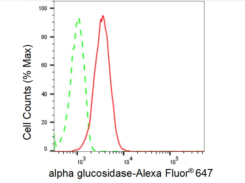 LYAG/GAA Antibody (23GB5480)