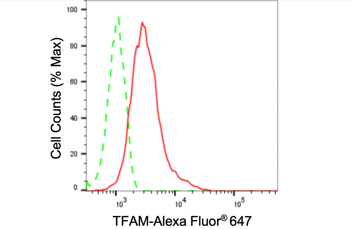 mtTFA Antibody (24GB4085)