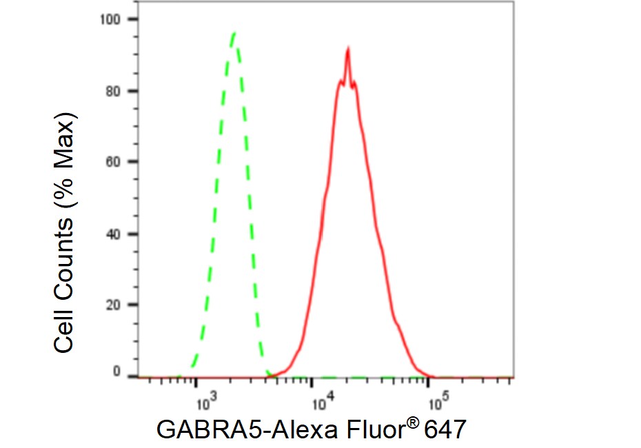 GABA-AR alpha 5 Antibody (23GB5505)