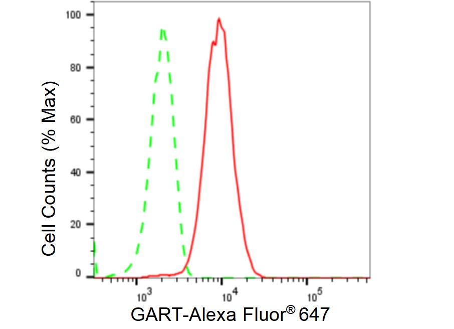GART Antibody (23GB5520)