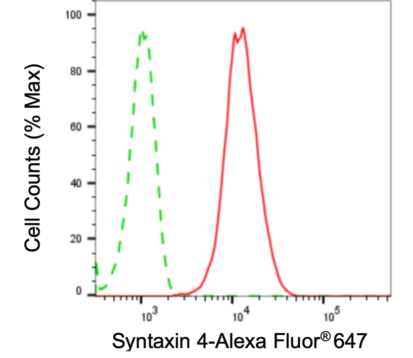 Syntaxin 4 Antibody (24GB4160)