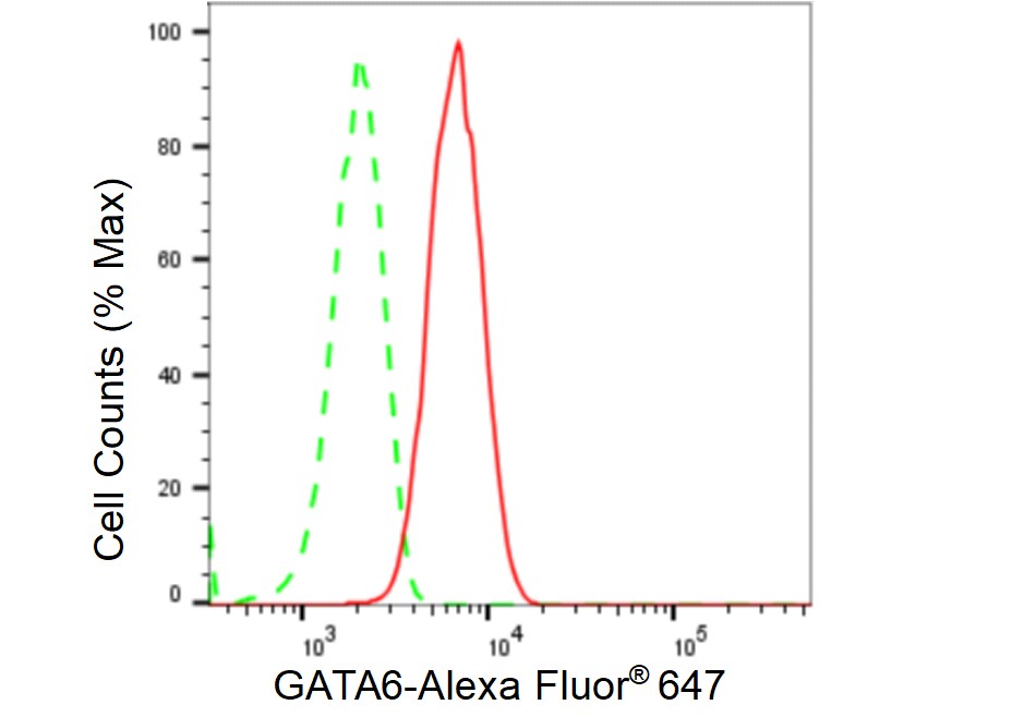GATA-6 Antibody (23GB5525)