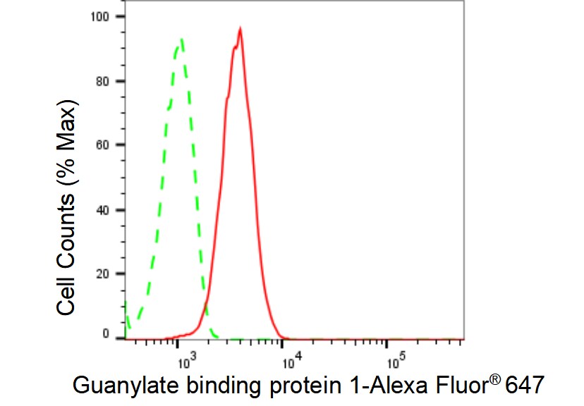 GBP1 Antibody (23GB5530)