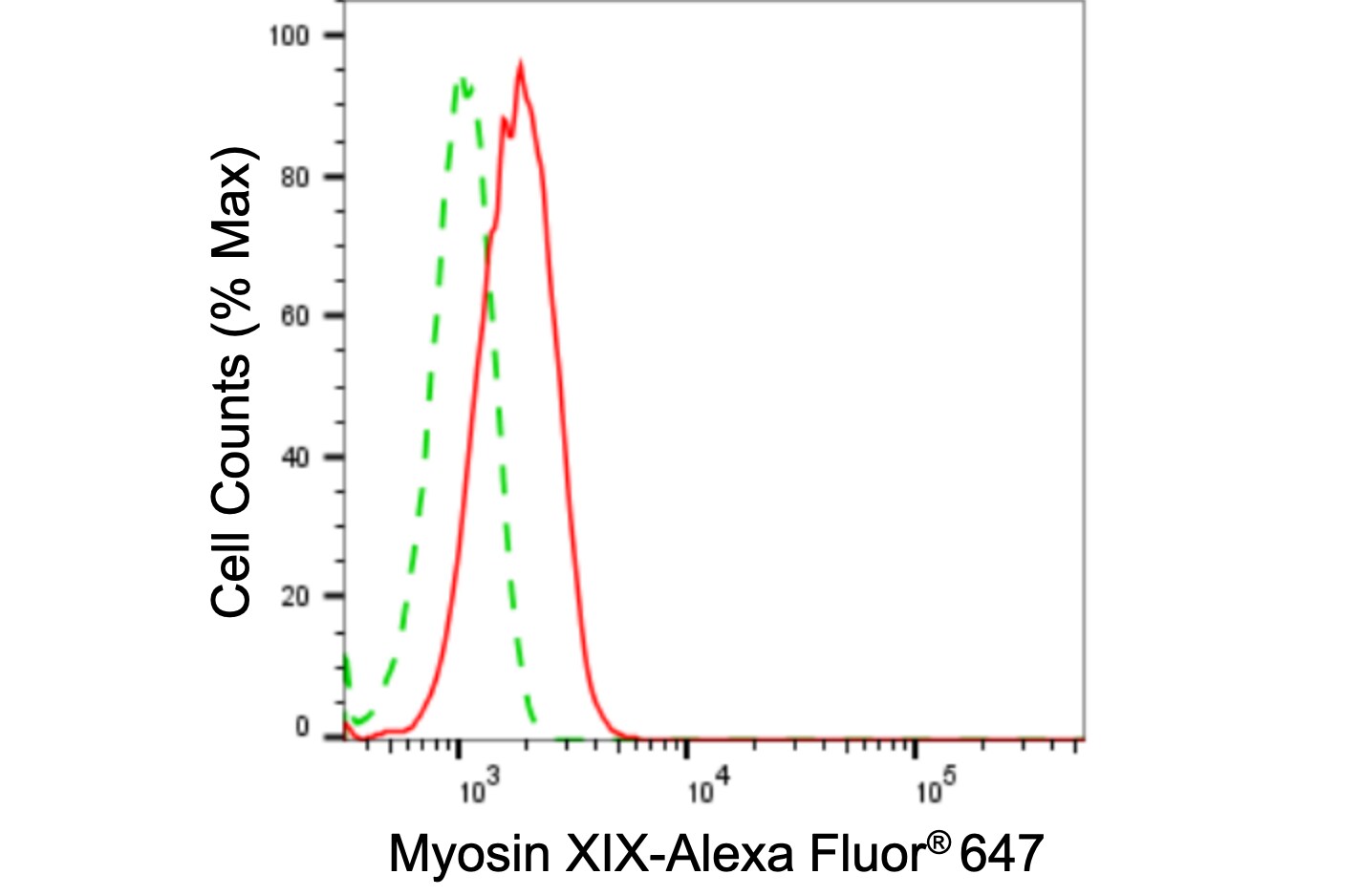 MYO19 Antibody (24GB5125)