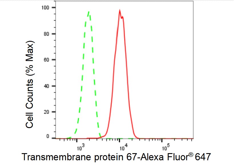 Meckelin Antibody (23GB4990)